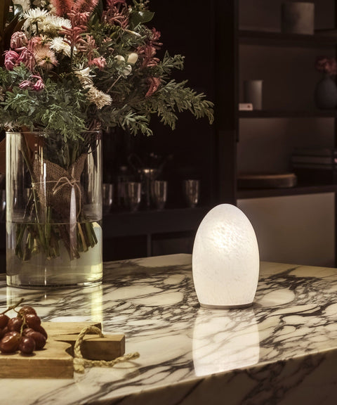 LED lamp Egg Fritted opal by NEOZ Lighting
